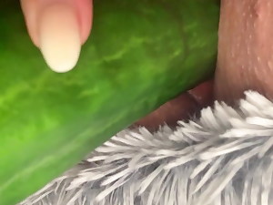 Masturbationen apropos cucumber